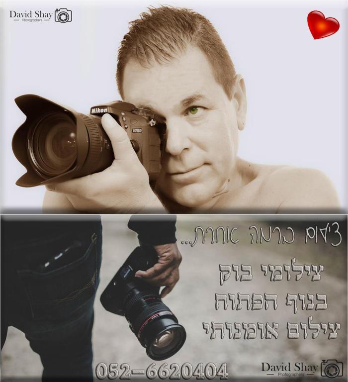 דוד שי דוד שי