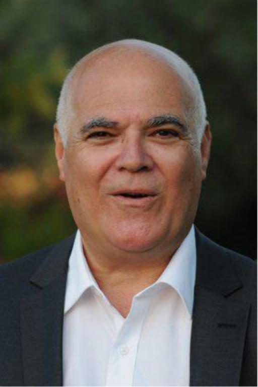 רפי שדמי כתבות רפי שדמי כתבות