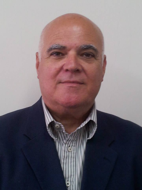 רפי שדמי כתבות רפי שדמי כתבות