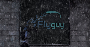 Fly Guy