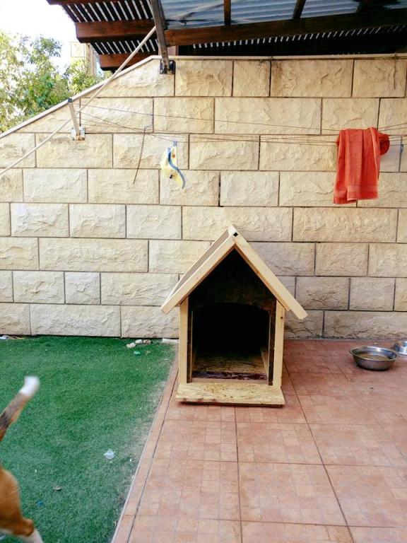 ד.ש. עבודה בעץ ד.ש. עבודה בעץ