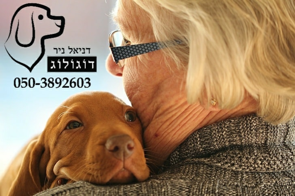דניאל דוגולוג אילוף כלבים דניאל דוגולוג אילוף כלבים