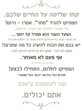 הפי פמילי