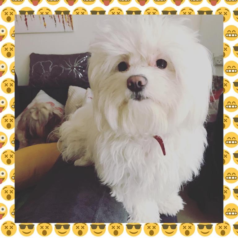 סטודיו למשחק מול מצלמה גלית רוזנשטיין סטודיו למשחק מול מצלמה גלית רוזנשטיין