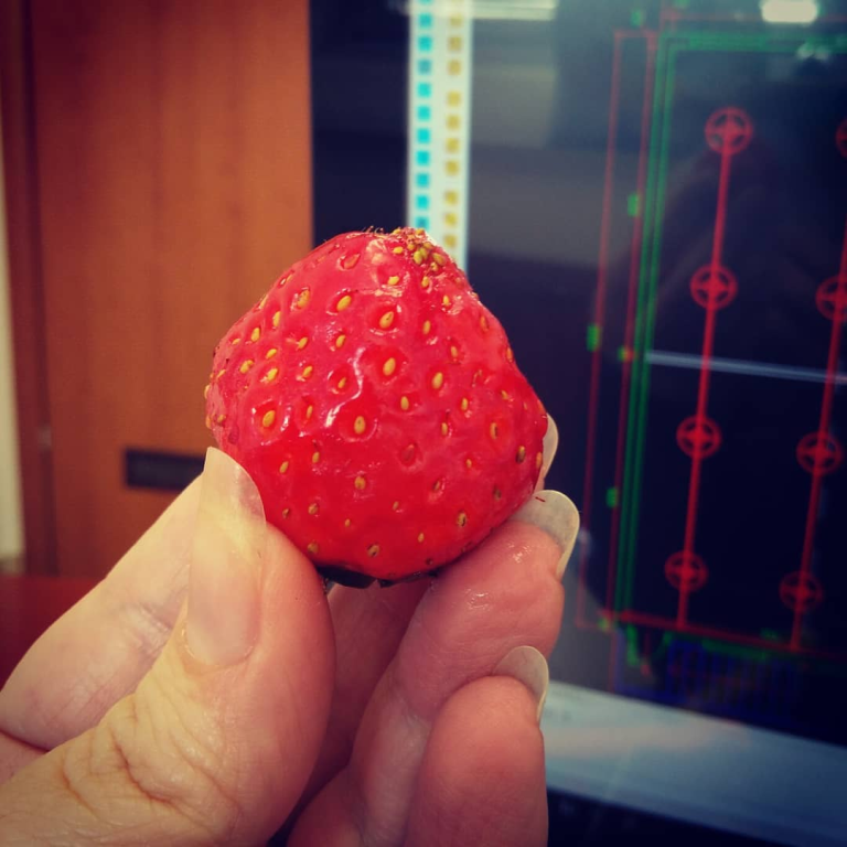 קוי הדמיון קוי הדמיון