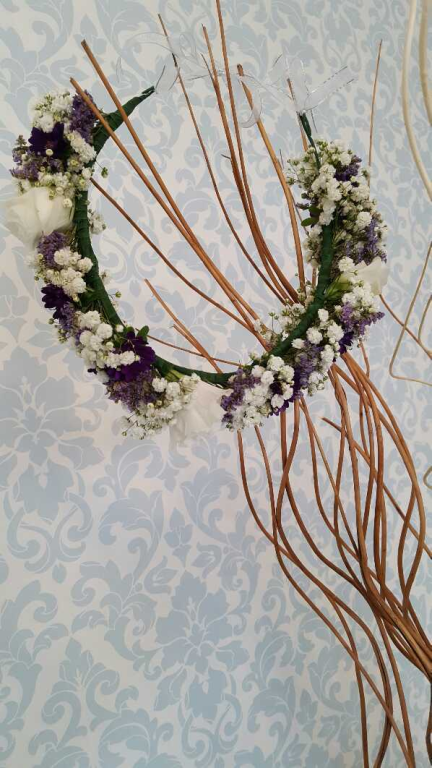 שנולינה שנולינה