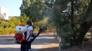 הדברות השפלה