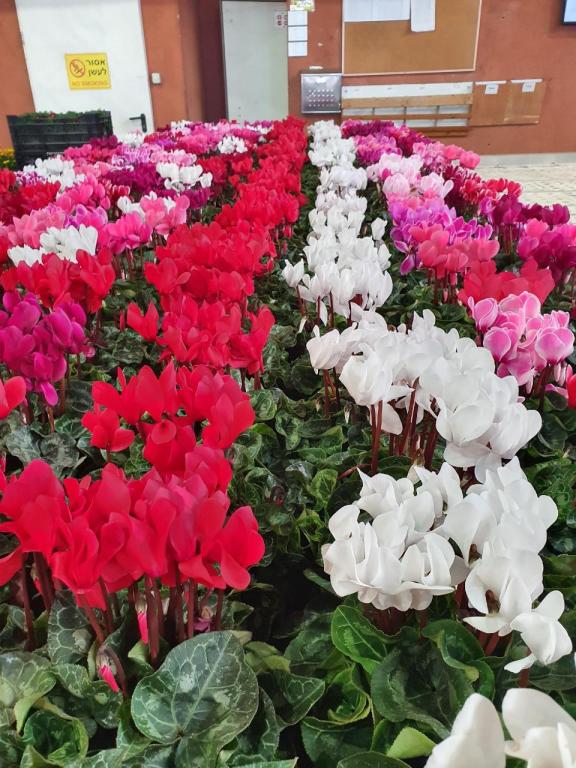 חן לגן חן לגן