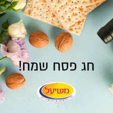 אדואר משיעל ובניו