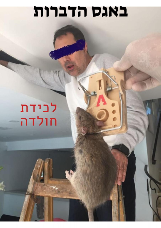 באגס הדברות באגס הדברות