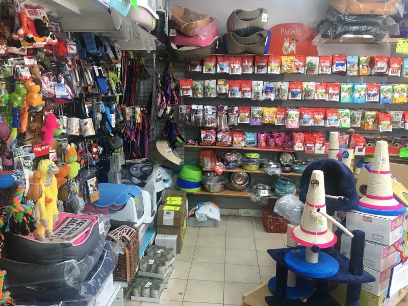 כל טוב לחי כל טוב לחי