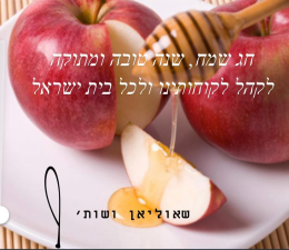 שאוליאן ושות' רואה חשבון