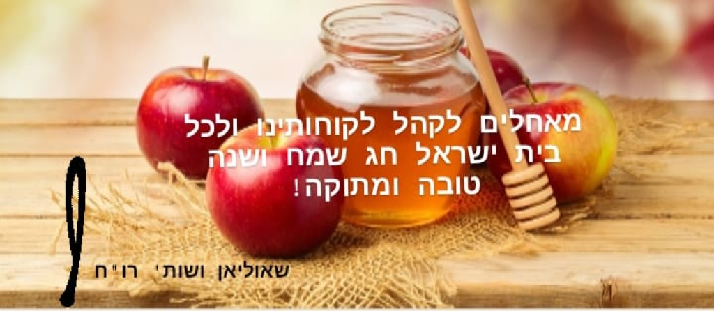 שאוליאן ושות' רואה חשבון שאוליאן ושות' רואה חשבון