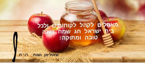 שאוליאן ושות' רואה חשבון