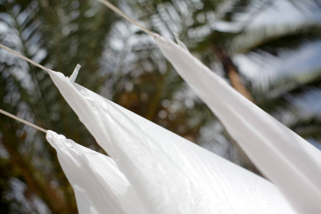 נדב דבוש רפלקסולוגיה נדב דבוש רפלקסולוגיה