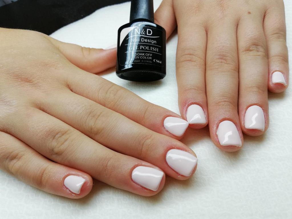 פנינת היופי בניהול ספיר פדידה פנינת היופי בניהול ספיר פדידה