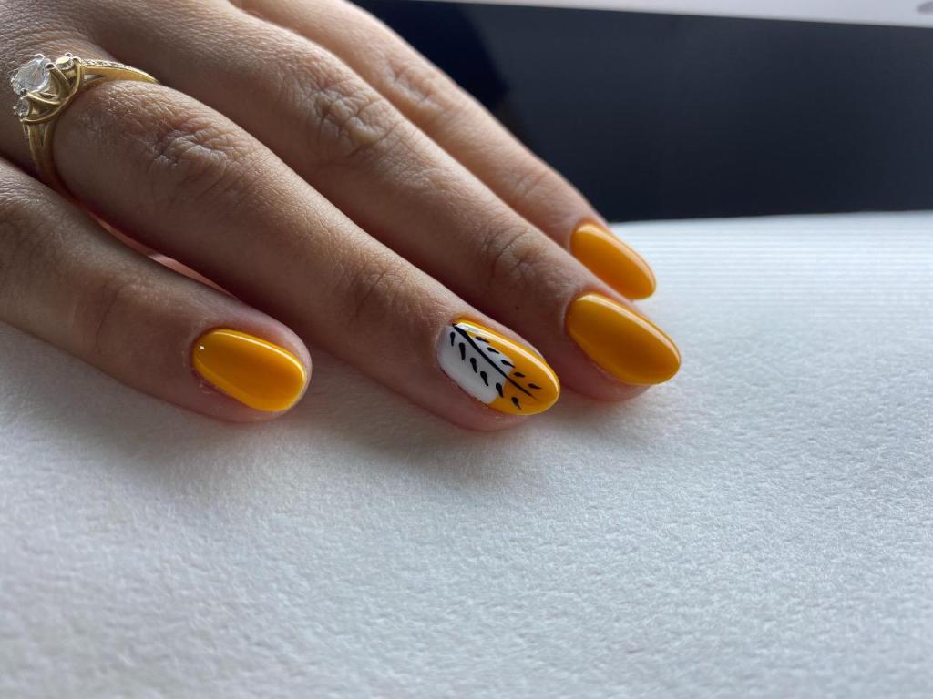 פנינת היופי בניהול ספיר פדידה פנינת היופי בניהול ספיר פדידה