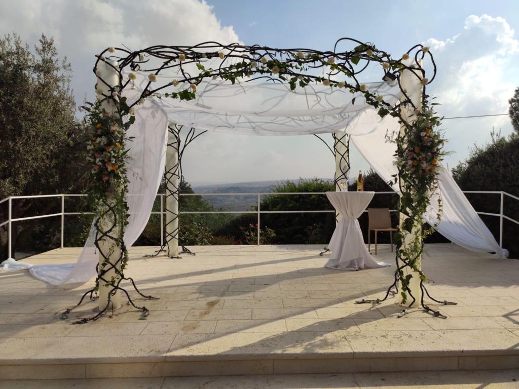 המשתלה של ויקטור המשתלה של ויקטור