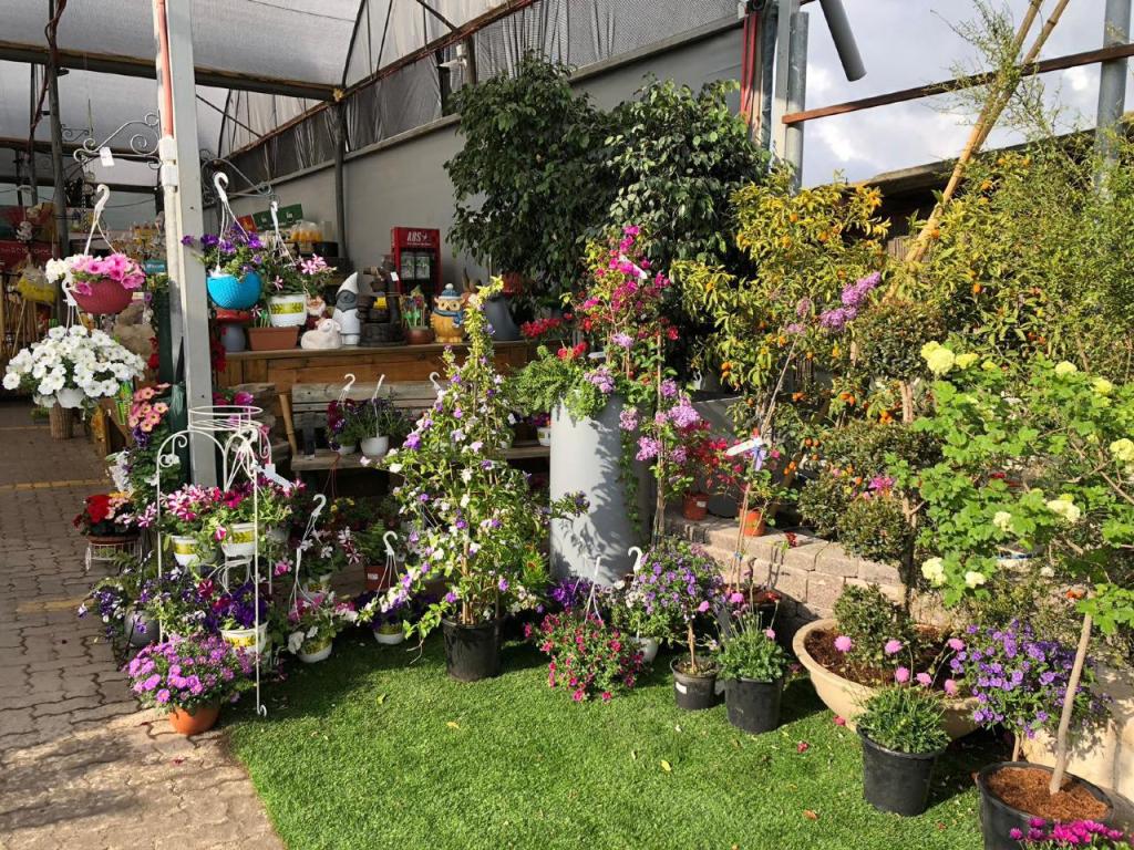 המשתלה של ויקטור המשתלה של ויקטור