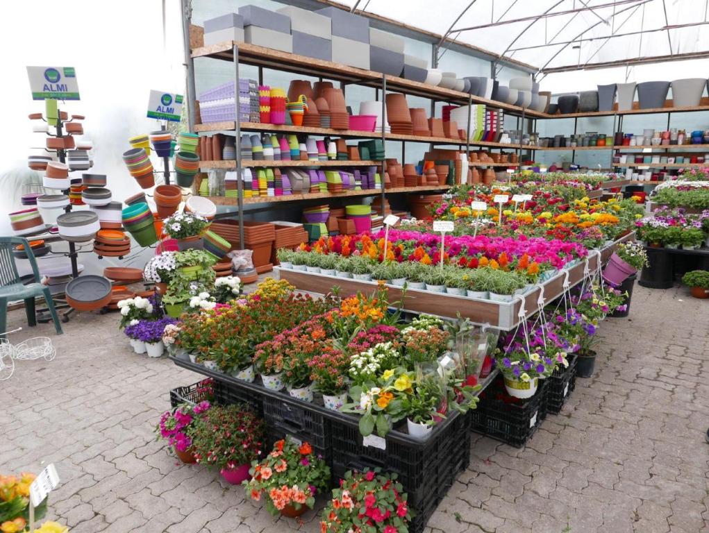 המשתלה של ויקטור המשתלה של ויקטור