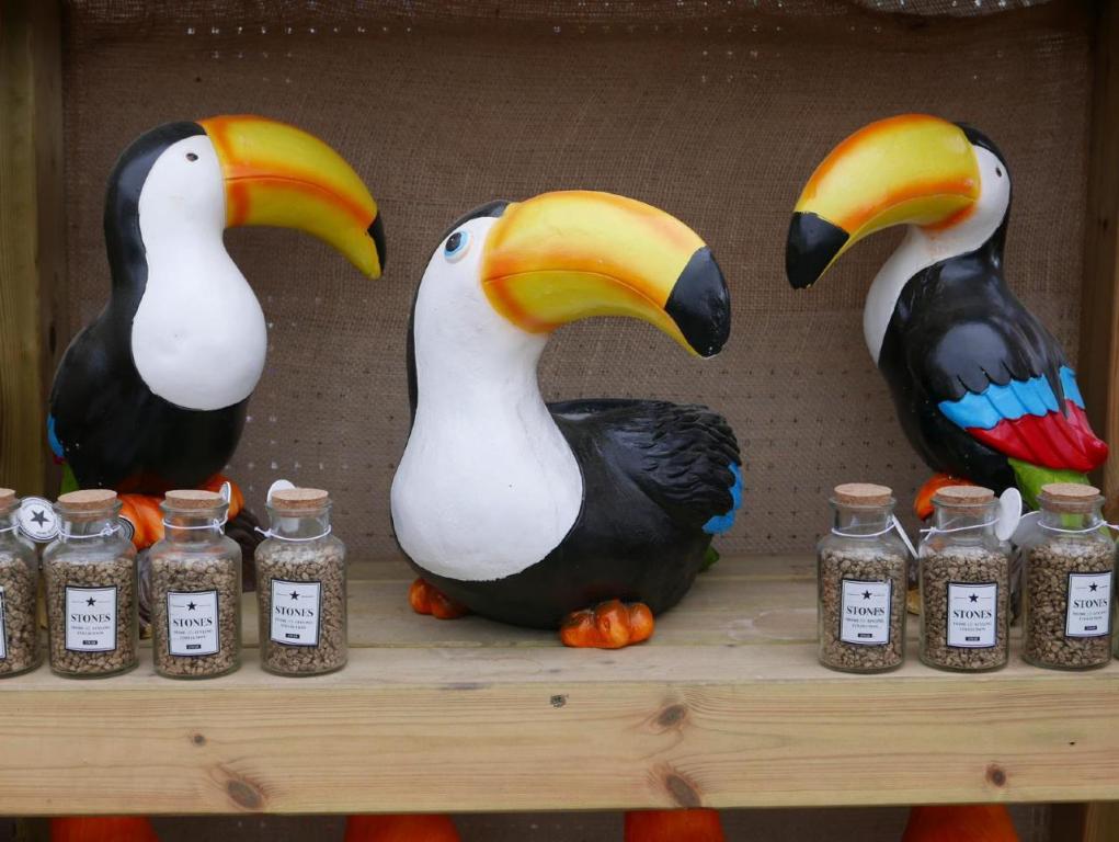 המשתלה של ויקטור המשתלה של ויקטור