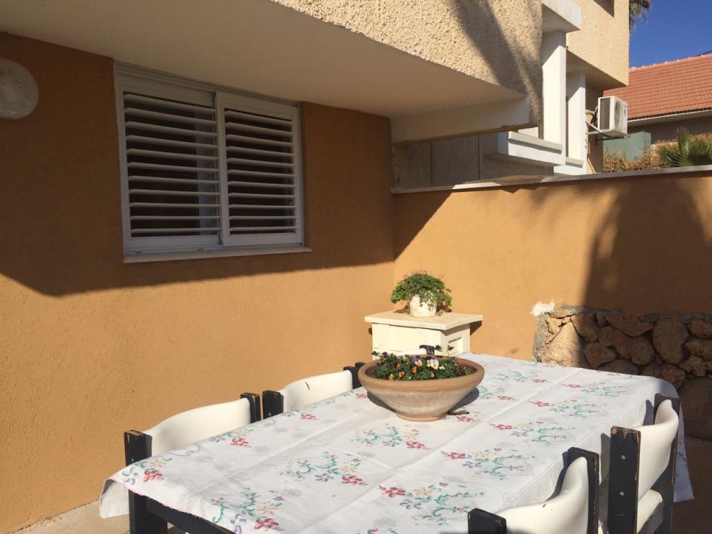 הצימר של תמר הצימר של תמר