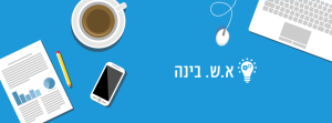 בינה הדרכה ייעוץ ופיתוח