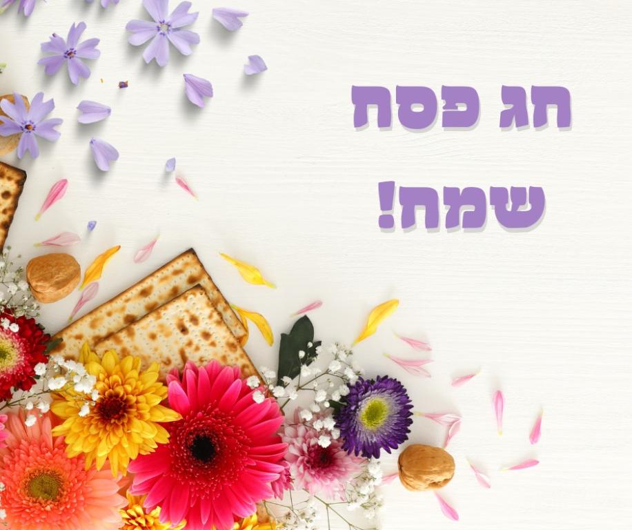 ירון בן עמי שיא פתרונות ירון בן עמי שיא פתרונות