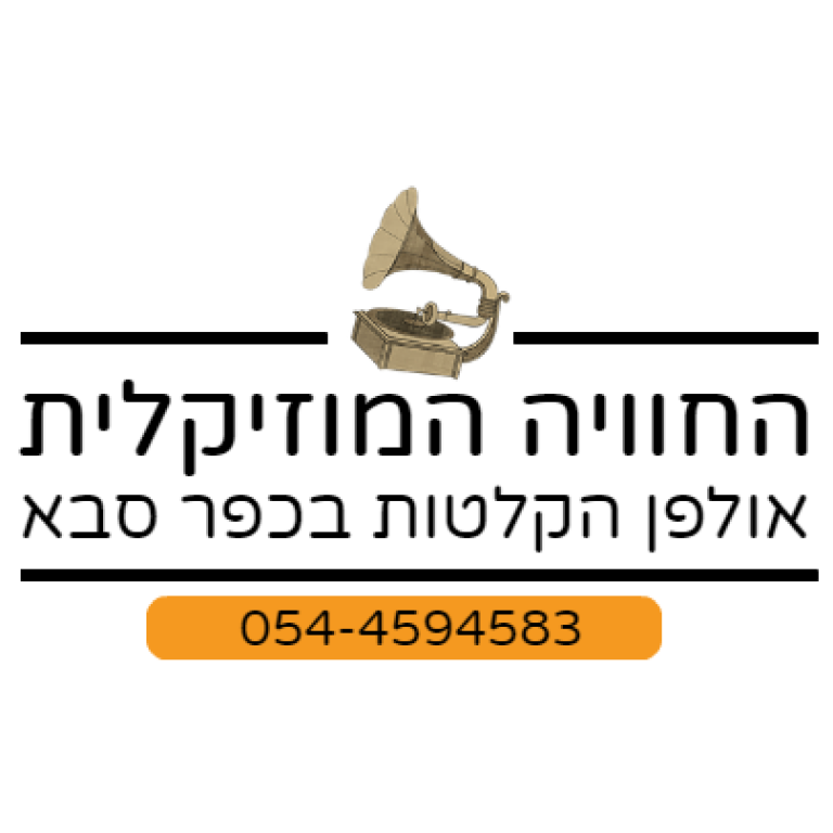החוויה המוזיקלית החוויה המוזיקלית