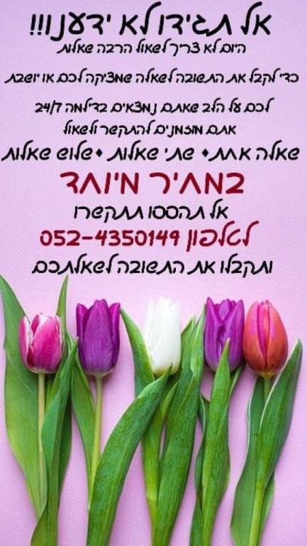 מיסטיקה מיסטיקה