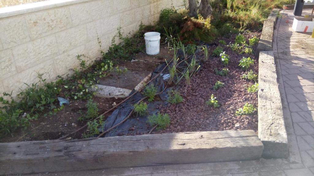 הגנן יניב הגנן יניב