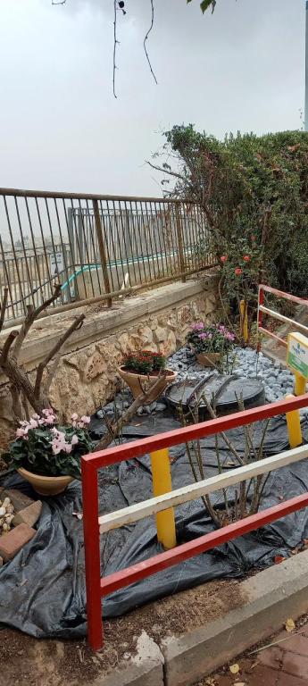 הגנן יניב הגנן יניב