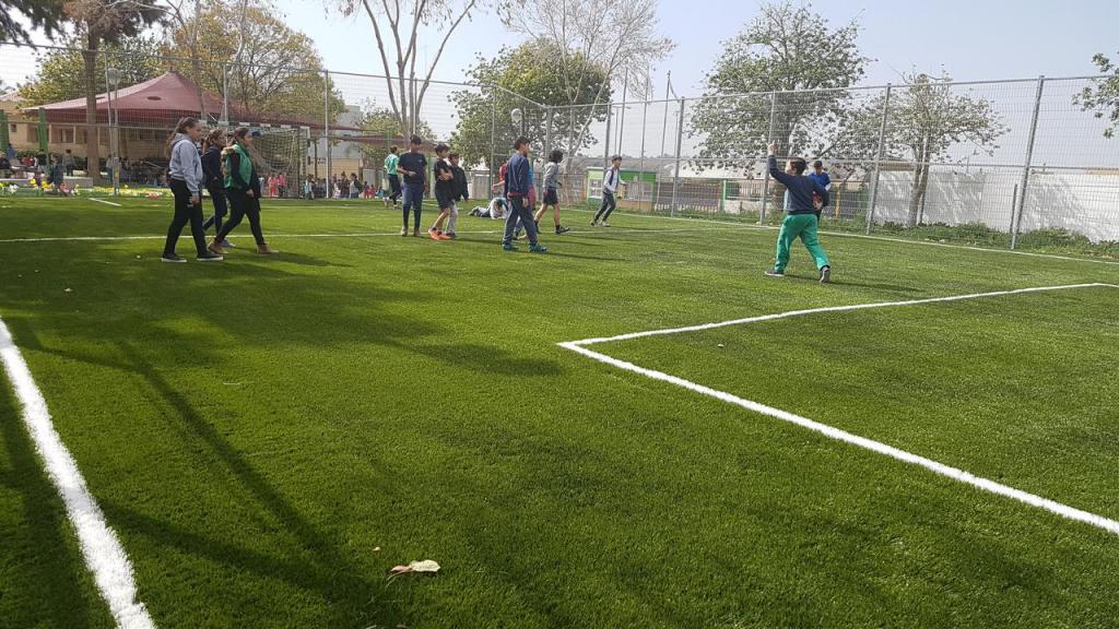 מרחבים ירוקים שירותי גינון ופיתוח מרחבים ירוקים שירותי גינון ופיתוח