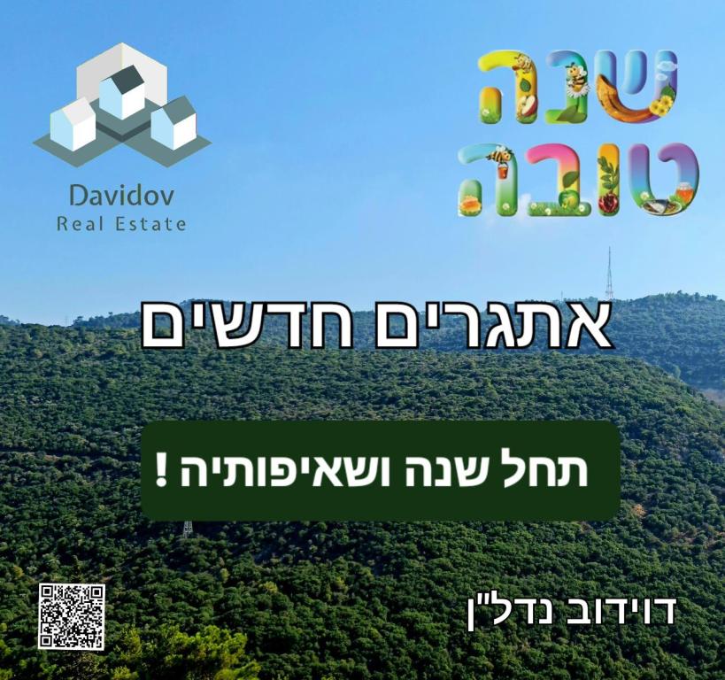 דוידוב נדל"ן דוידוב נדל"ן