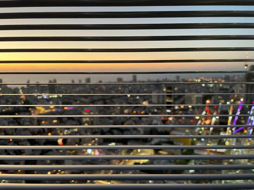 קלינגר קלינגר