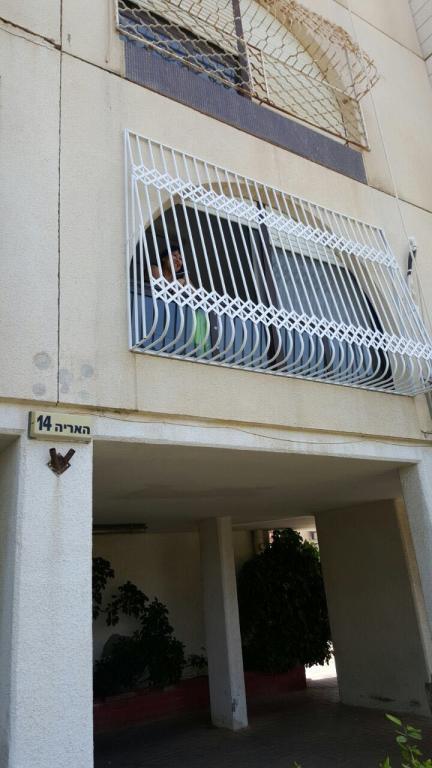 תריסי גולן תריסי גולן