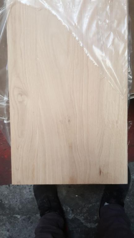 היסטר עצים היסטר עצים