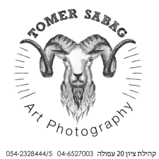 תומר סבג