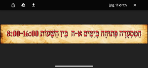 ביס בלח"י