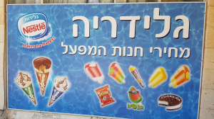 הגלידריה חנות המפעל