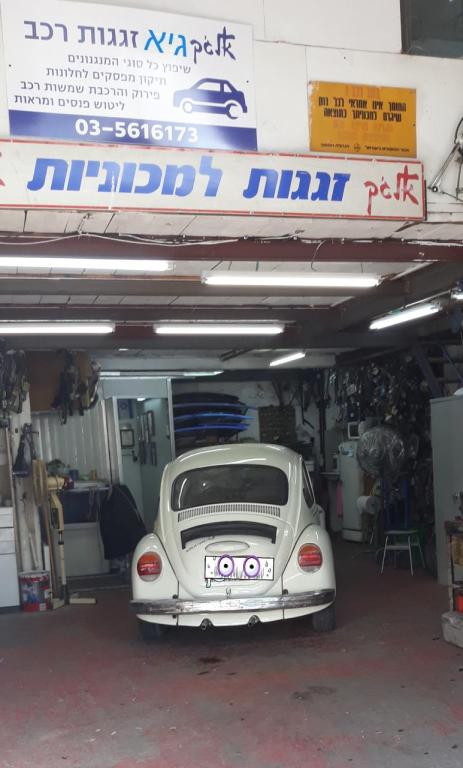 אלגק גיא גלס אלגק גיא גלס