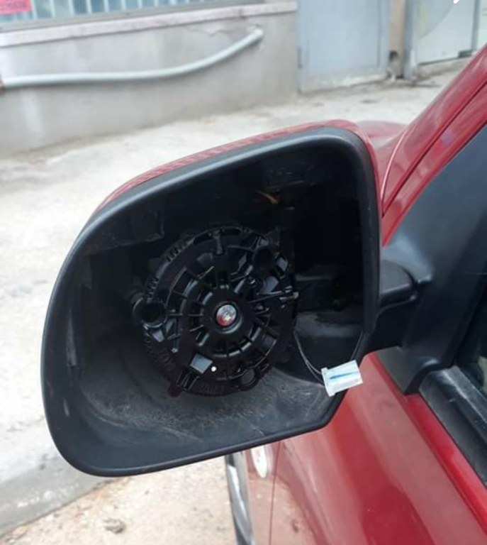 אלגק גיא גלס אלגק גיא גלס