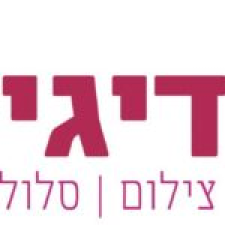 דיגיטלי