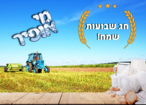 מי אופיר