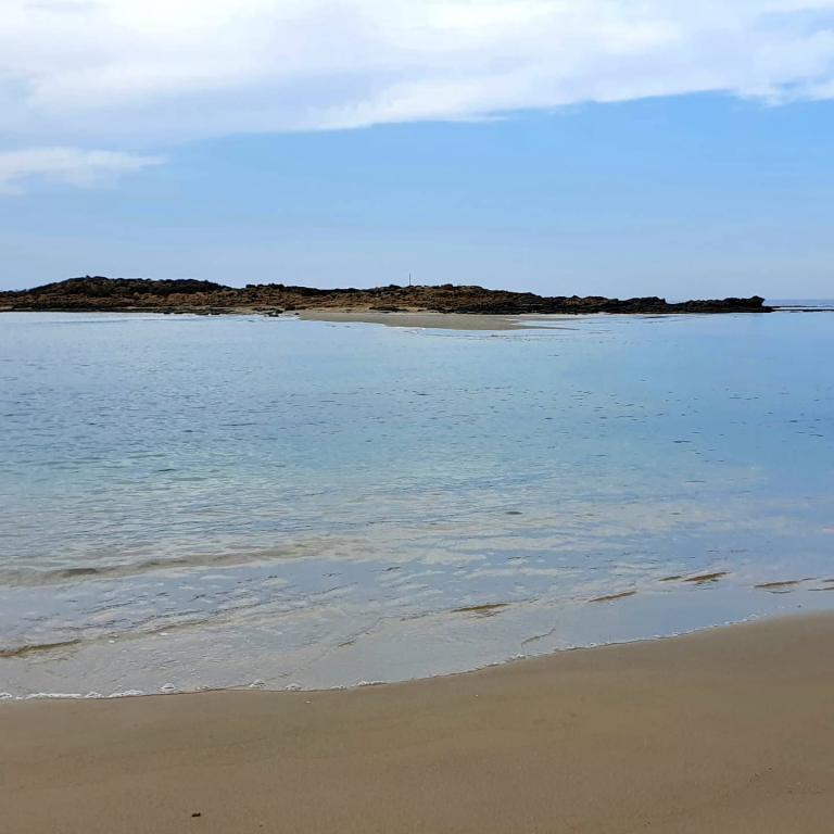 נוצה עיסוי רפואי משולב נוצה עיסוי רפואי משולב