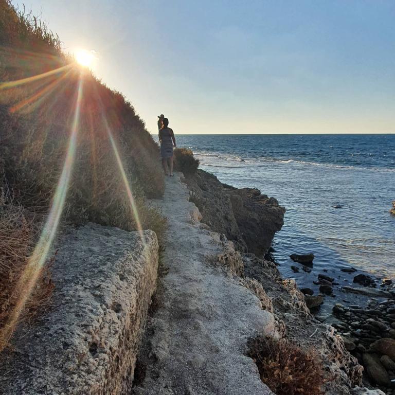 נוצה עיסוי רפואי משולב נוצה עיסוי רפואי משולב