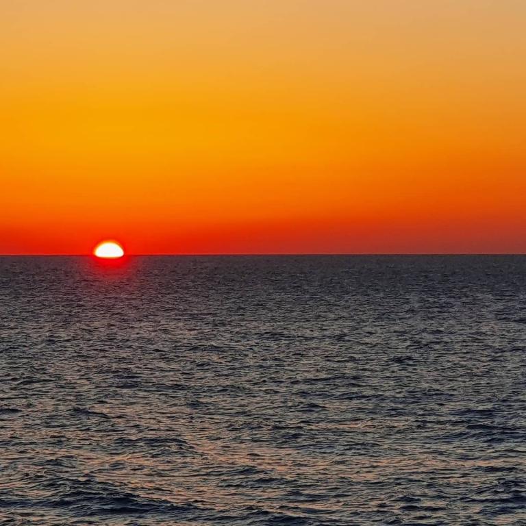 נוצה עיסוי רפואי משולב נוצה עיסוי רפואי משולב