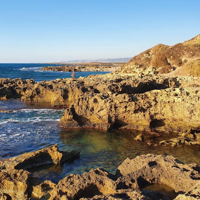 נוצה עיסוי רפואי משולב נוצה עיסוי רפואי משולב
