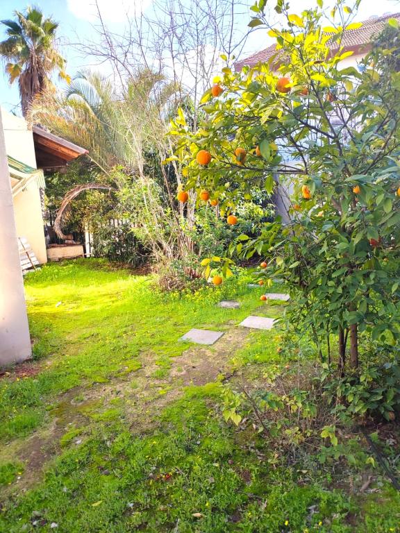 תיווך לב השכונה תיווך לב השכונה