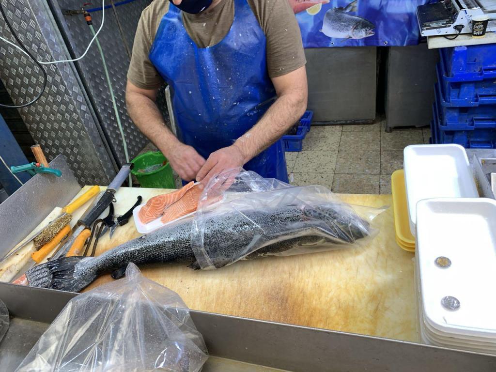 מרכז הדגים עופר עקיבא מרכז הדגים עופר עקיבא